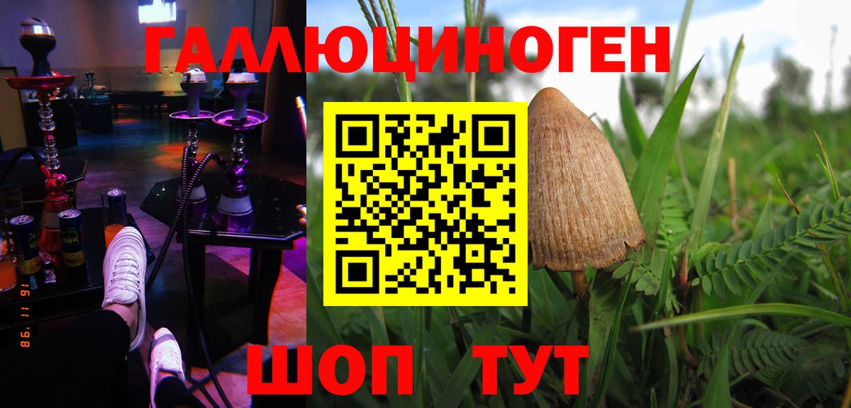 закладка  Вход с VPN  Узловая  Псилоцибиновые грибы Magic Shrooms 